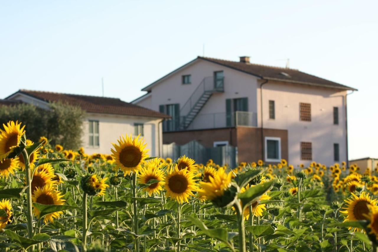 Willa La Collina Del Girasole Montecastrilli Zewnętrze zdjęcie